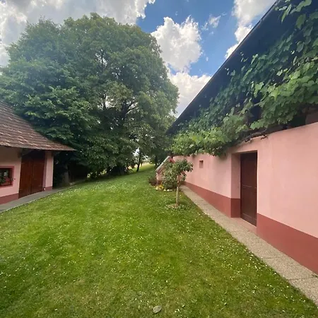 Country House 'pri Lipi' Semesterbostad *